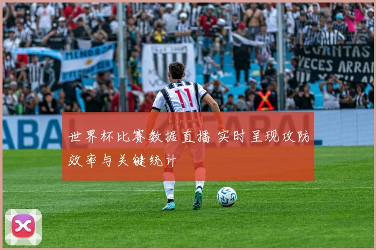 世界杯比赛数据直播 实时呈现攻防效率与关键统计