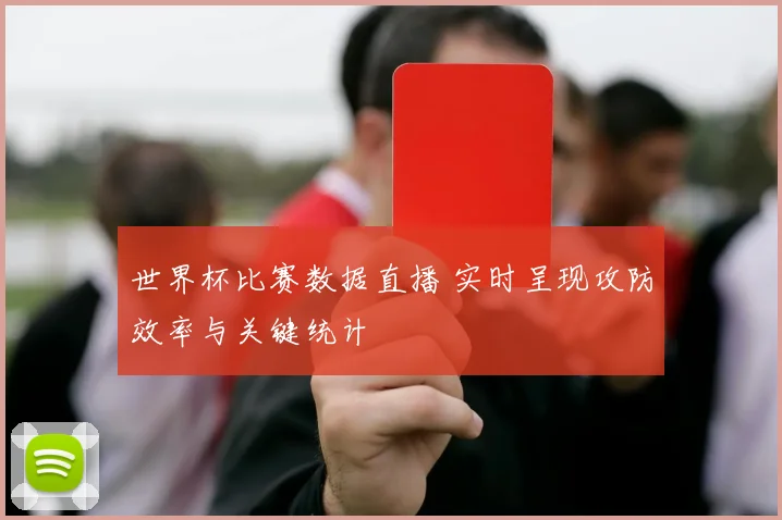 世界杯比赛数据直播 实时呈现攻防效率与关键统计