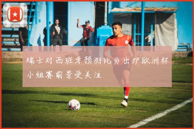 瑞士对西班牙预测比分出炉欧洲杯小组赛前景受关注