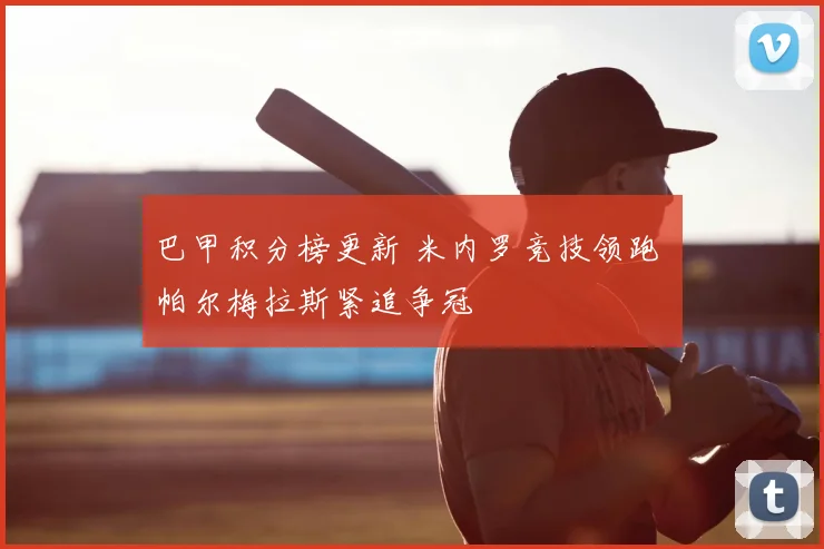 巴甲积分榜更新 米内罗竞技领跑 帕尔梅拉斯紧追争冠