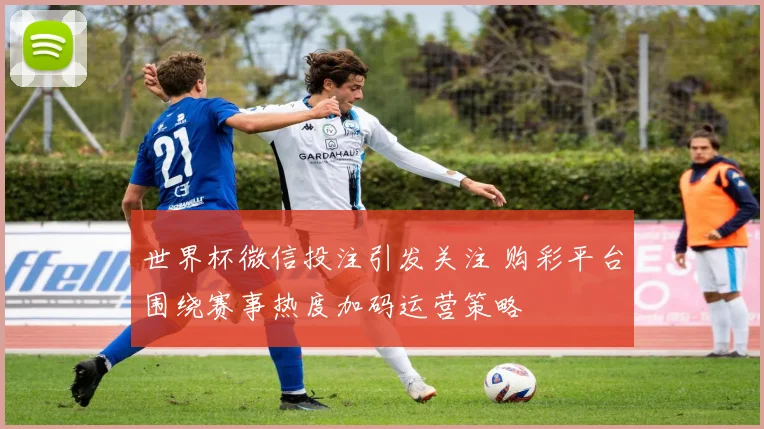世界杯微信投注引发关注 购彩平台围绕赛事热度加码运营策略